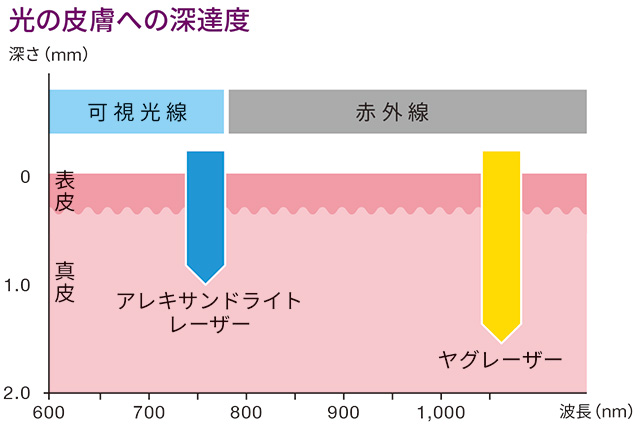 光の皮膚への深達度